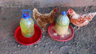 Como hacer comedero y bebedero para gallinas con botellas grandes [upl. by Gnurt]