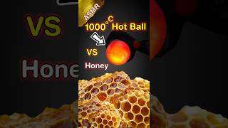 🔥 Will Honey 🍯 Survive the 1000°C Metal Ball Challenge 😵‍💫 Smoky ASMR DestructionASMRDestruction [upl. by Ik]