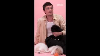 Someone get this man a romcom 😍  Josh Hutcherson The Puppy Interview [upl. by Wolfy42]