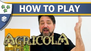 How to Play Agricola [upl. by Ativel26]