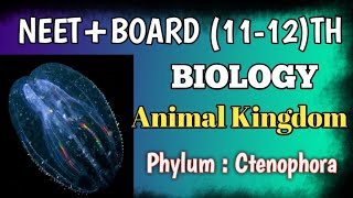 Phylum Ctenophora 👉🏻 Animal Kingdom education biology 11th [upl. by Keithley]