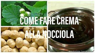 CREMA ALLA NOCCIOLA  Fai da te Cucina [upl. by Tartaglia]