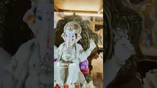 Vastunna vastunna ganesh ganpati ganeshchaturthi vibes pleasesubscribe 🙏 [upl. by Iarahs]