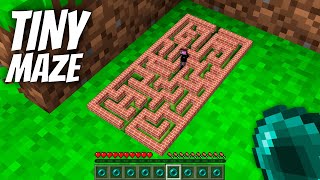 I found a TINY SECRET MAZE in Minecraft  Whats INSIDE the SMALLEST MAZE [upl. by Stover637]