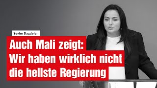 Auch Mali zeigt Wir haben wirklich nicht die hellste Regierung [upl. by Merl]