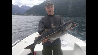 Romsdalsfjord speedjigging sej [upl. by Adnohsel]