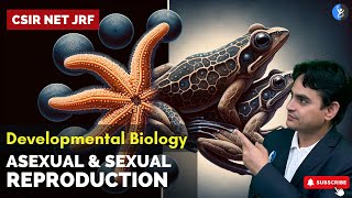 L8 Asexual amp Sexual Reproduction I Developmental Biology I CSIR NET JUNE 2024 I IFAS [upl. by Cirtemed459]