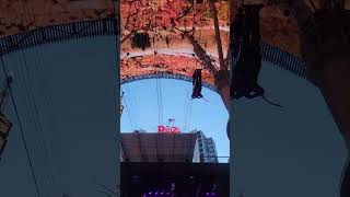 Fremont Street Experience Vegas  Zipline [upl. by Elata]