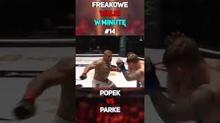 Freakowe Walki W Minutę 14 shorts famemma mma freakfight mma walki popek parke [upl. by Haslett]