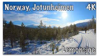 CrossCountry Skiing from Lemonsjoe to Hindseter Jotunheimen Norway 4K [upl. by Reinal]