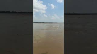 Subarnarekha nadi over flow😮🙏 subarnarekha shortsfeed shortvideo shorts short [upl. by Dionysus957]