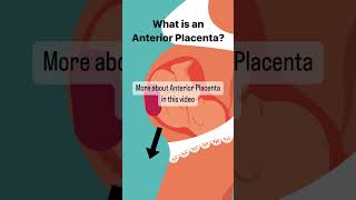 What is Anterior Placenta pregnant [upl. by Ahsiem]