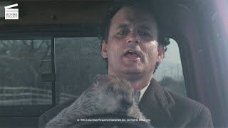 Groundhog Day The groundhog drives HD CLIP [upl. by Dinnie]