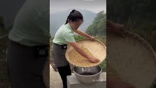 Traditional agriculture – the heartbeat of rural China [upl. by Iruj]