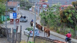 VilcabambaValle de LongevosHistoriaEcuadorProducciones VicariJuan Franco Lazzarini [upl. by Aicekan]