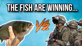 Why the US Army is at war with a fish [upl. by Cox]