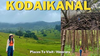 Complete Guide To Kodaikanal  Places To Visit  2 Day Itinerary  Accomodation [upl. by Merill]