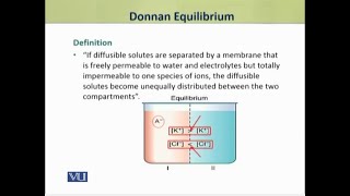 Donnan Equilibrium  Physiology Theory  ZOO519TTopic009 [upl. by Weingartner]