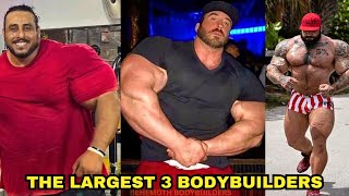 Meet The 3 Biggest Bodybuilders In The World [upl. by Rotman]