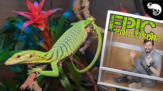 Greenie Miracle Gets A New Home  EPIC Zen Habitats Enclosure Build [upl. by Yellek157]