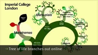 Tree of life branches out online [upl. by Dnama547]