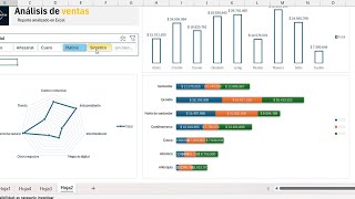 Gráficos Excel Nivel III Gráficos Dinámicos [upl. by Allemat601]