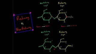 Reducing Sugar vs Nonreducing Sugar Acetal Hemiacetal Carbohydrate Biochemistry MCAT [upl. by Hayimas]