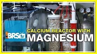 FAQ 2 Why do I supplement magnesium while running a calcium reactor  52 FAQ [upl. by Htessil]