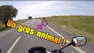 Parlons de sécurité MotoVlog FR [upl. by Yeleen30]