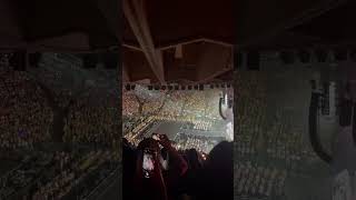 Carats singing TO YOU at Oakland [upl. by Ppilihp]