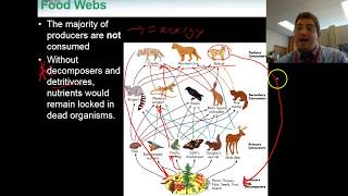 Lesson 33 Energy Flow in Ecosystems [upl. by Loydie]