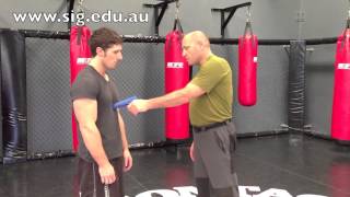 ITAY GIL  KRAV MAGA  VIP PROTECTION COURSE  12  Ray Mancini [upl. by Torrin]