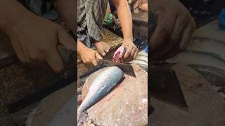 Amazing Hilsa Fish Cutting Skills In Bangladesh Local Fish Market shorts [upl. by Siwel756]