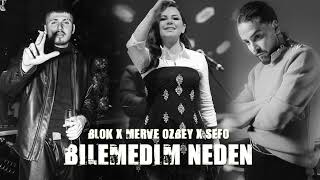 Merve Özbey X Sefo X Blok3  Bilemedim Neden Remix [upl. by Haag]