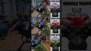 TRAPS workout with dumbbell backworkout dumbbellworkout homeworkout [upl. by Ahsaercal16]