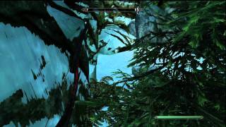 Skyrim quest bug help Selveni Nethri escape the cave [upl. by Buffo]