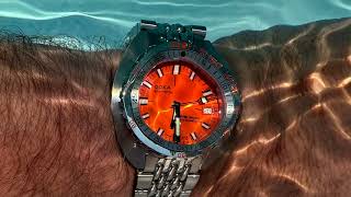 Doxa Sub 300T Unboxing and Review watchreviews doxa divewatch gear [upl. by Ybbed406]