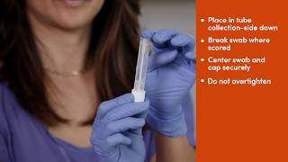 Fulgent COVID19 Nasal Swab Collection Instructions [upl. by Aridni]