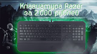 Низкопрофильная клавиатура от RAZER за 2000 рублей  ИГРОВАЯ Deathstalker Essential [upl. by Hyacinth792]