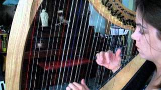 Pachelbels Canon in D on Dusty Strings Ravenna 34 lever harp [upl. by Llehsal22]