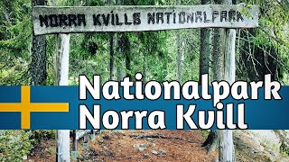 Wandern im Norra Kvill Nationalpark in Schweden [upl. by Cord596]