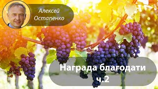 Награда Благодати  Алексей Остапенко  Богослужение 8312024 [upl. by Annahc]