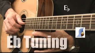 E flat tuning 12 step down for Guitar [upl. by Naujed]