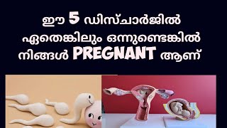 5 different types of early Pregnancy discharge Malayalam Deechus world [upl. by O'Connell]