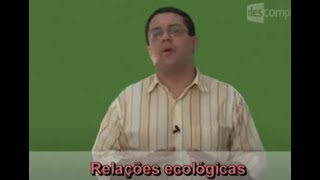 Relações Ecológicas Alelobiose  Biologia  Descomplica [upl. by Anagrom]