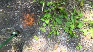 Clearing A Driveway With The Propane Weed Torch [upl. by Elorac]