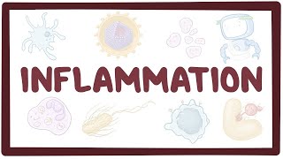 Inflammation  causes symptoms diagnosis treatment pathology [upl. by Ferde]