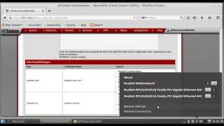 Connecting to pfSensebased OpenVPN Server From Linux Mint 17 [upl. by Atnahs]