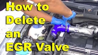 How to Delete an EGR Valve with a delete kit [upl. by Medea599]