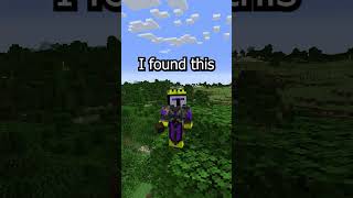 Minecraft When did you add this foryou minecraft [upl. by Notyep]